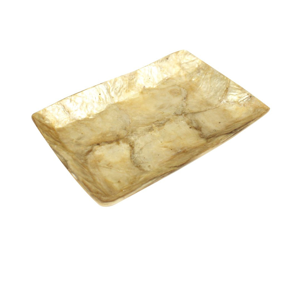 De gouden schelpenschaal