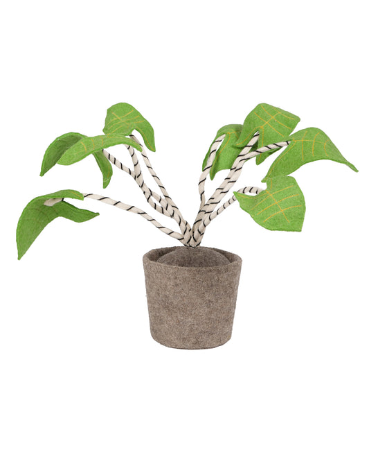 KidsDepot plant Zebrina - groen