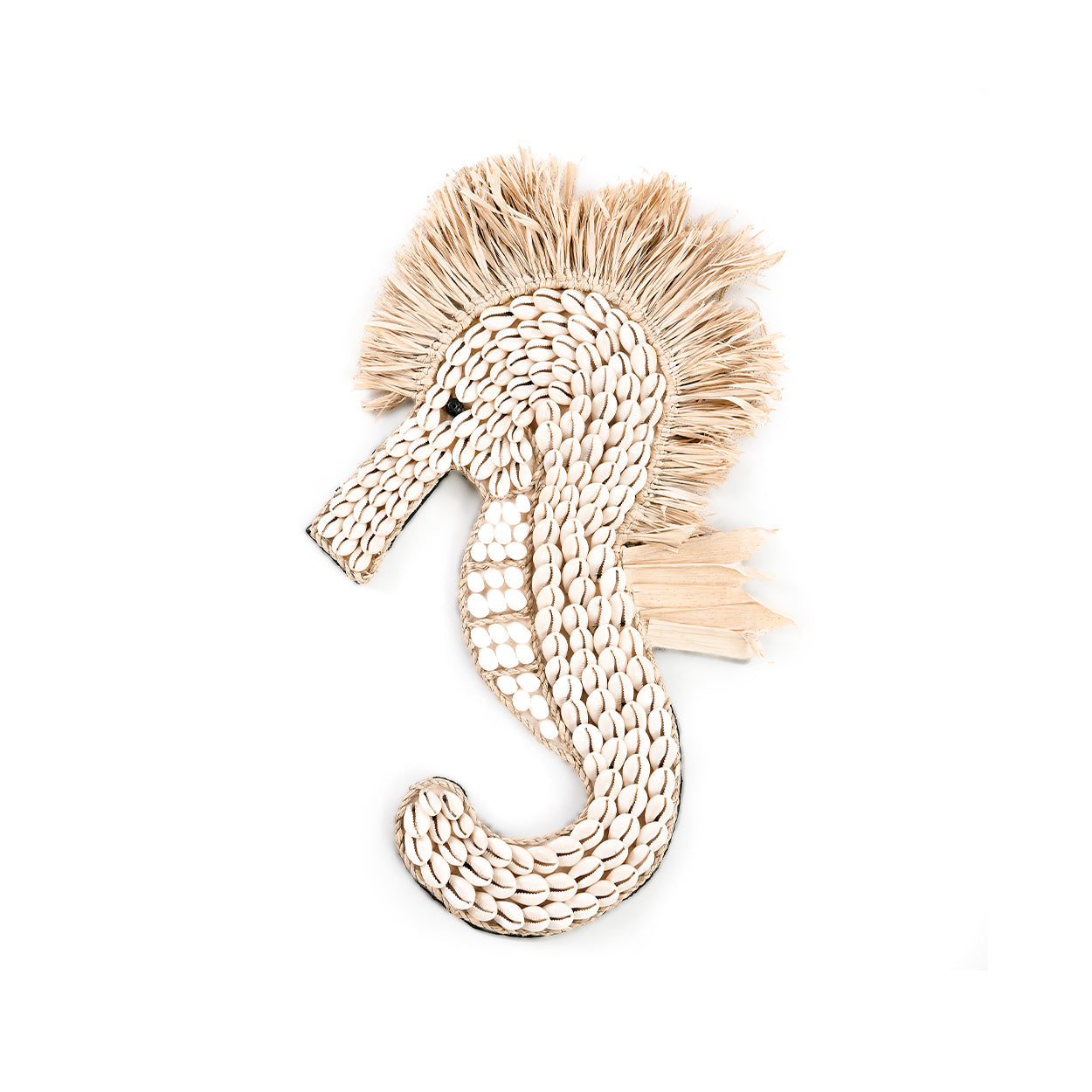 Het schelpzeepaard - wit