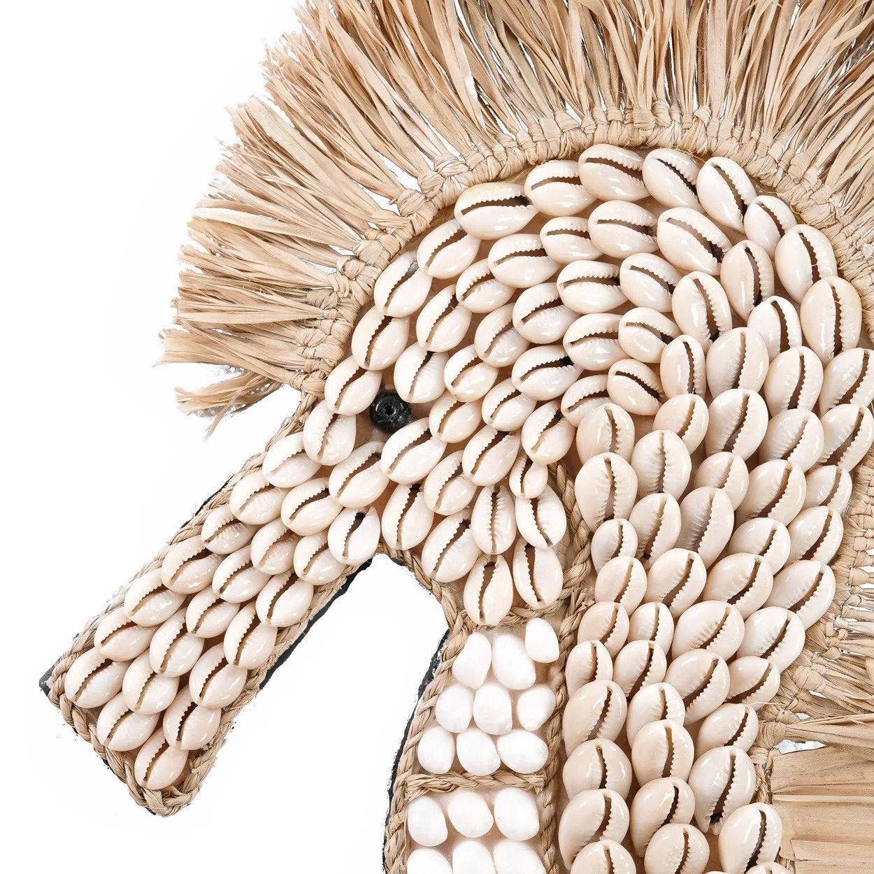 Het schelpzeepaard - wit