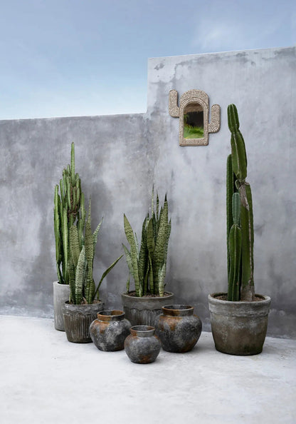 De Cactusschelpspiegel - Wit