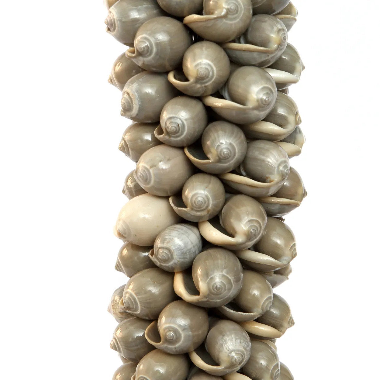 De schelp- en katoenen kwast - grijs