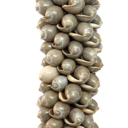 De schelp- en katoenen kwast - grijs