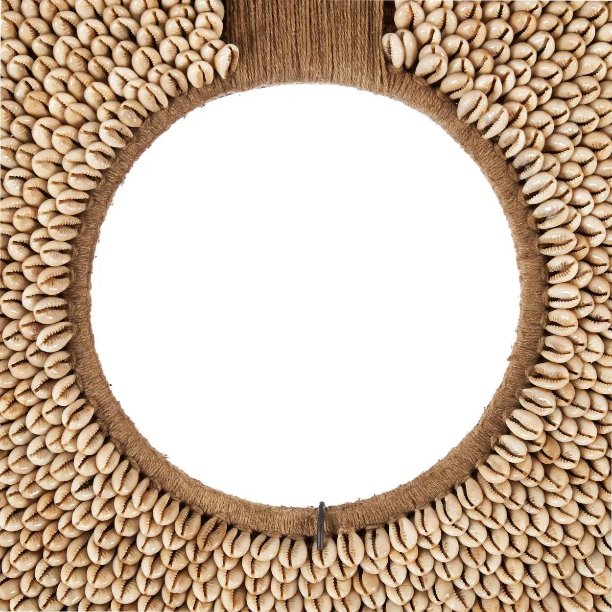 De schelp Réunion op standaard - naturel