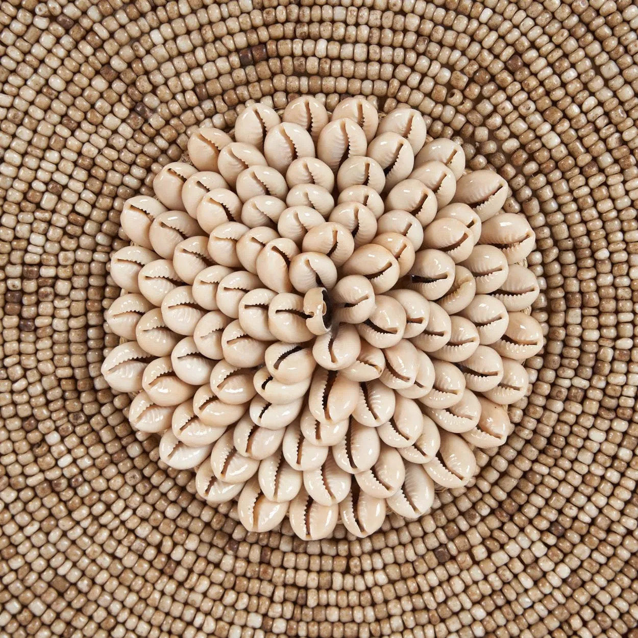 Schelp Guadeloupe op standaard - natuurwit