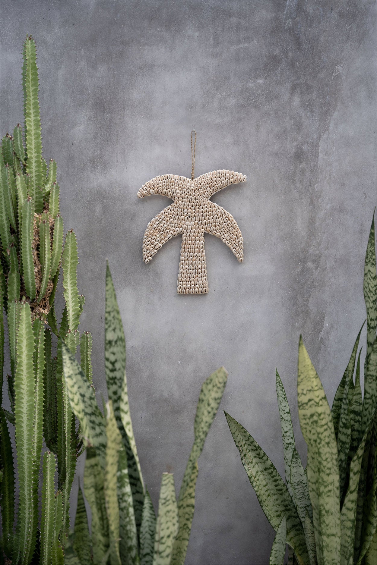 De schelp-palmboom - naturel