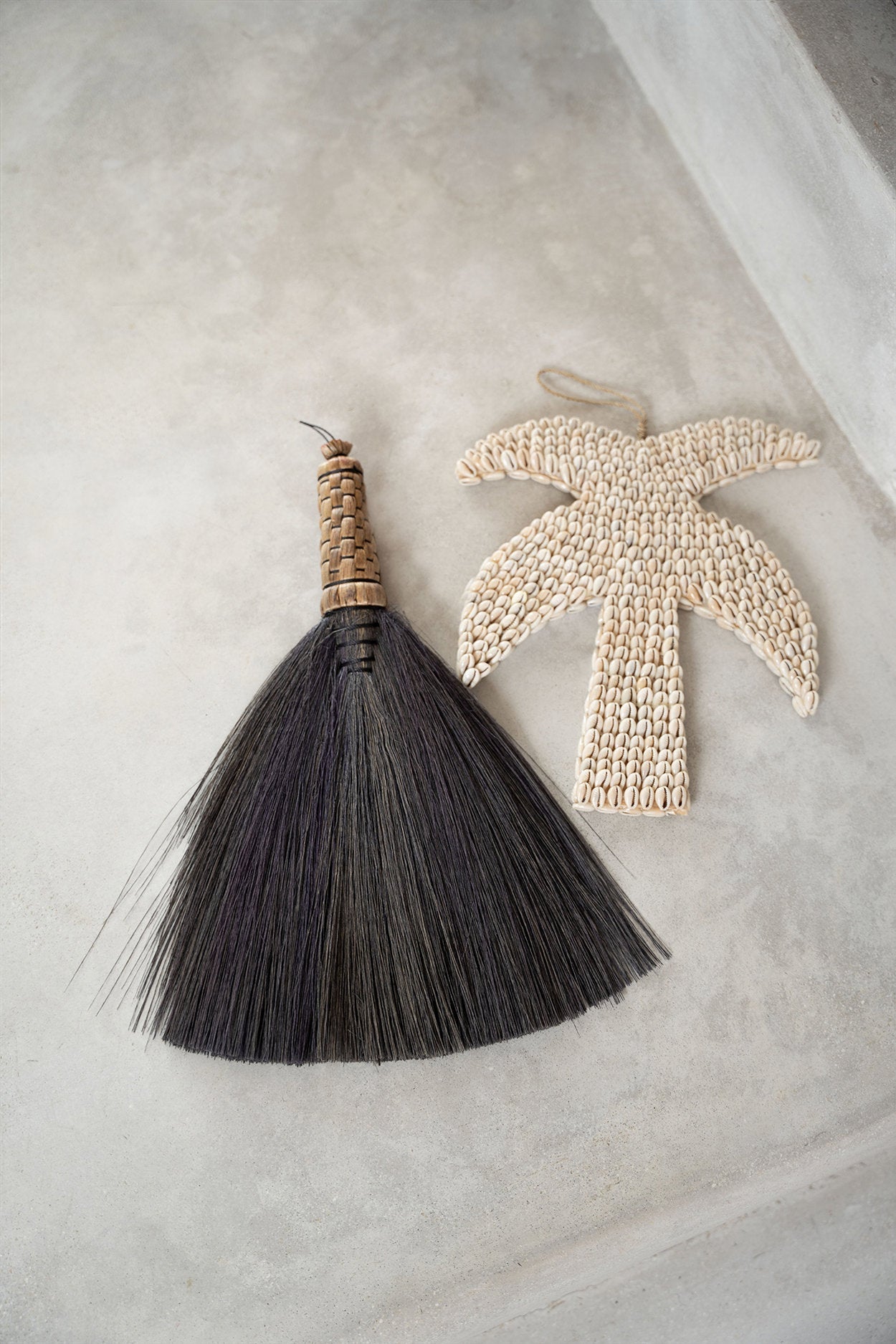 De schelp-palmboom - naturel