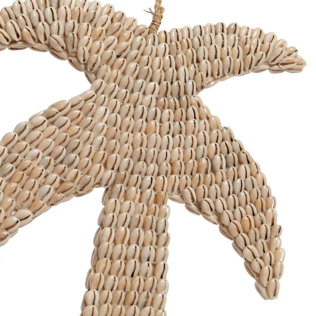 De schelp-palmboom - naturel