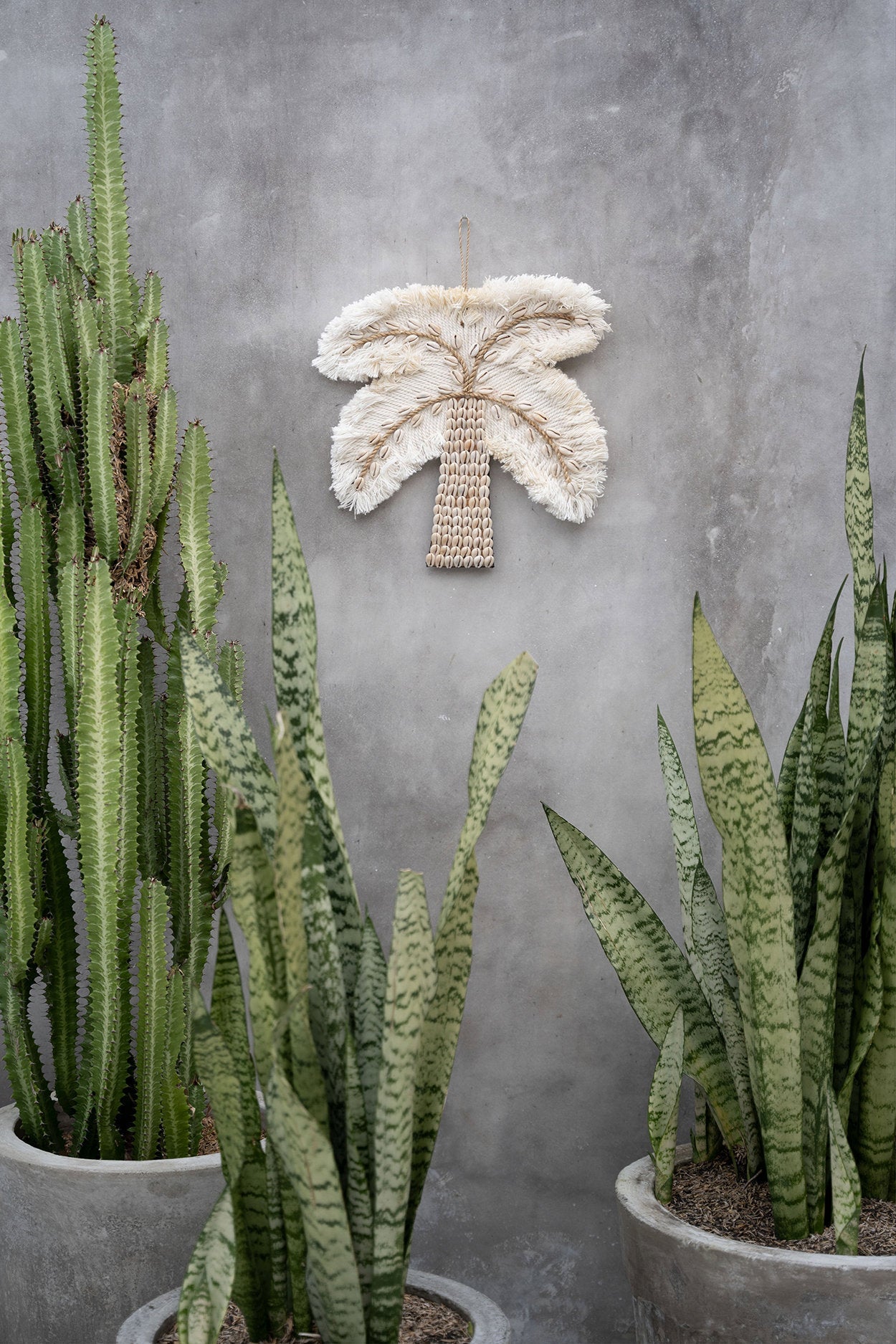 De palmboom met katoenen schelp - wit naturel