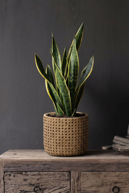 De RattanRock Plantenbak - Naturel - L