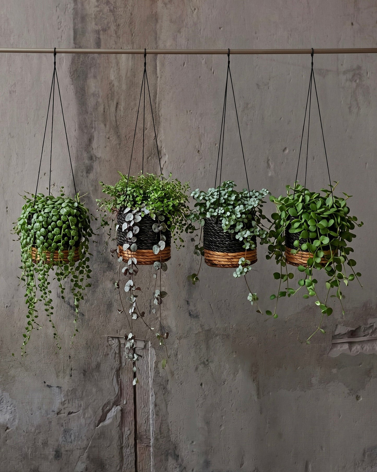 Hanger voor bananenplant - natuurlijk zwart - S