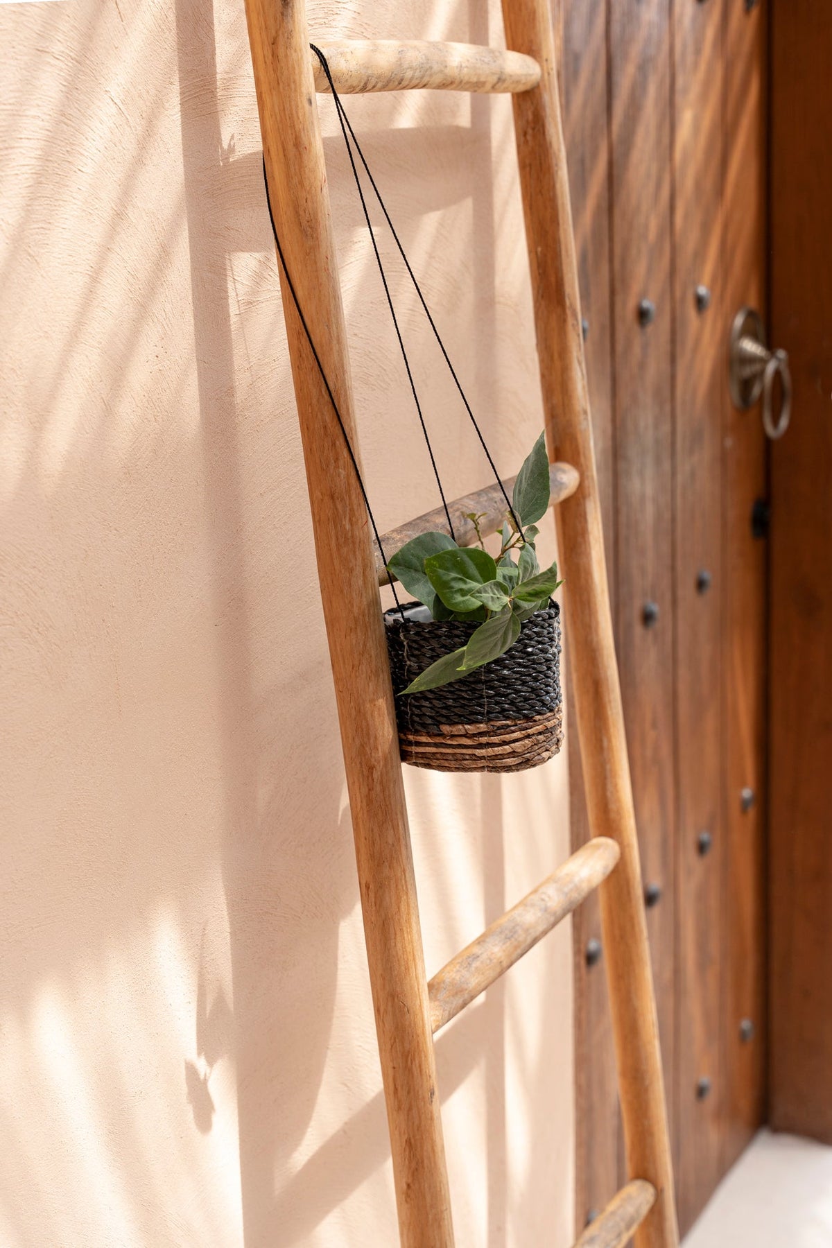 Hanger voor bananenplant - natuurlijk zwart - S