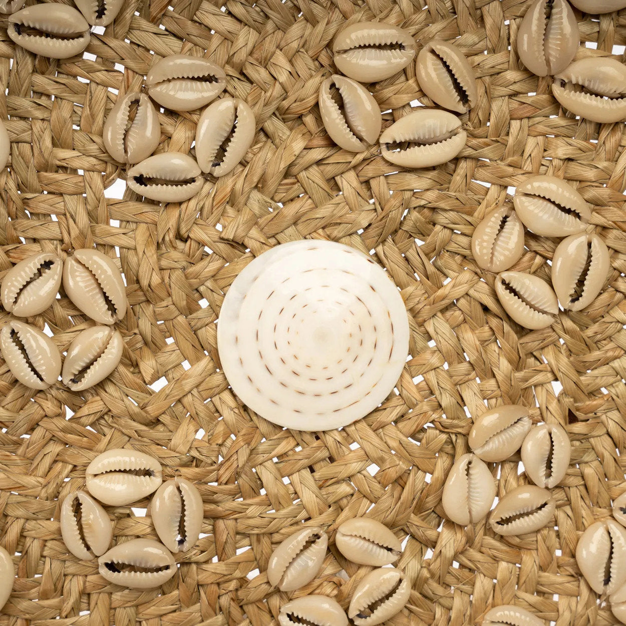 De Caribe Schelpenbord - Natuurlijk Wit - M