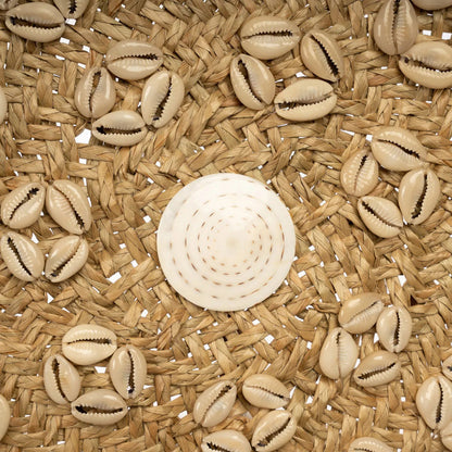 De Caribe Schelpenbord - Natuurlijk Wit - M