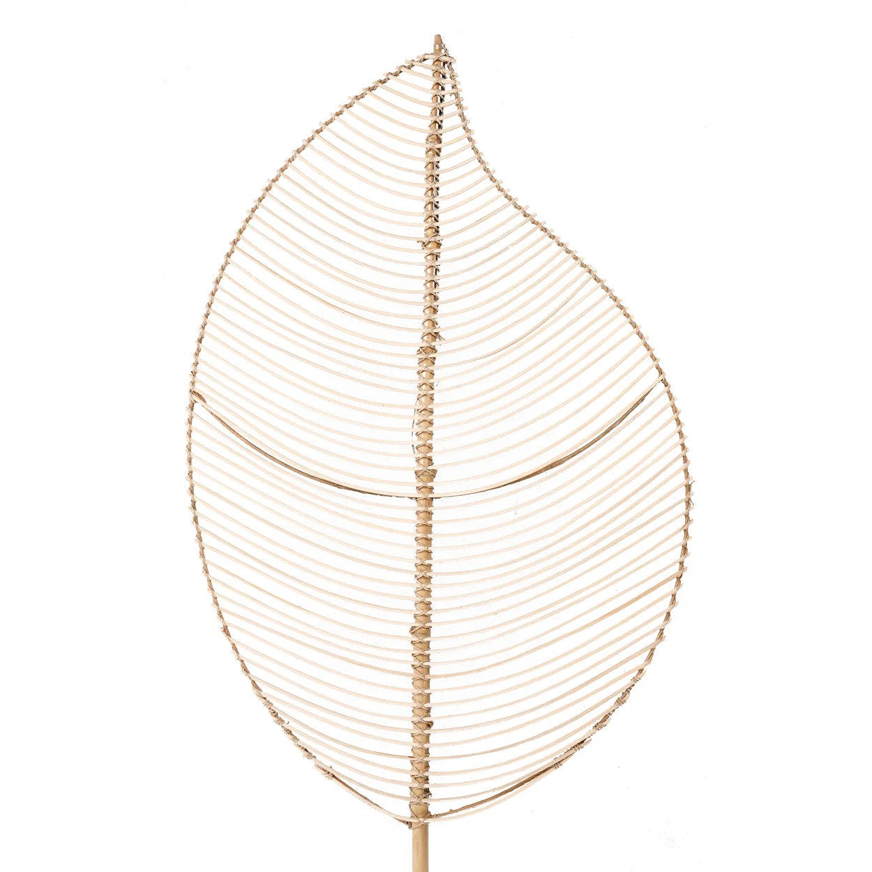 Rotan Elliptisch - Naturel