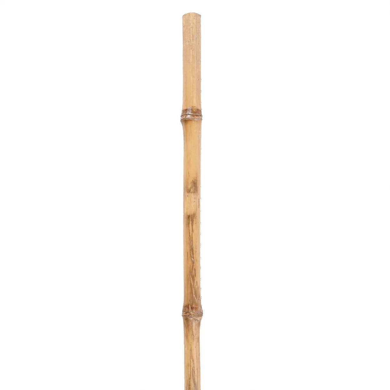 Rotan Elliptisch - Naturel