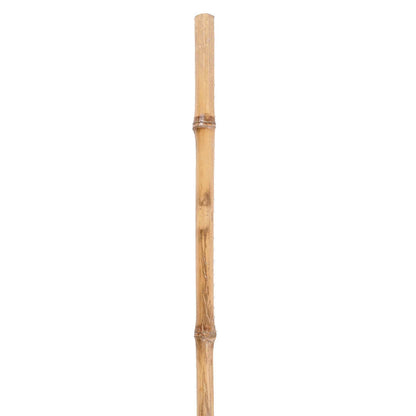 Rotan Elliptisch - Naturel