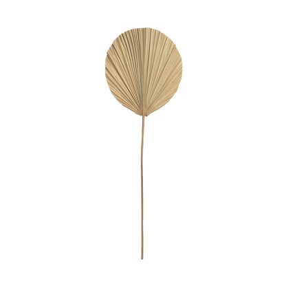 De Rayung Blad - Natuurlijk