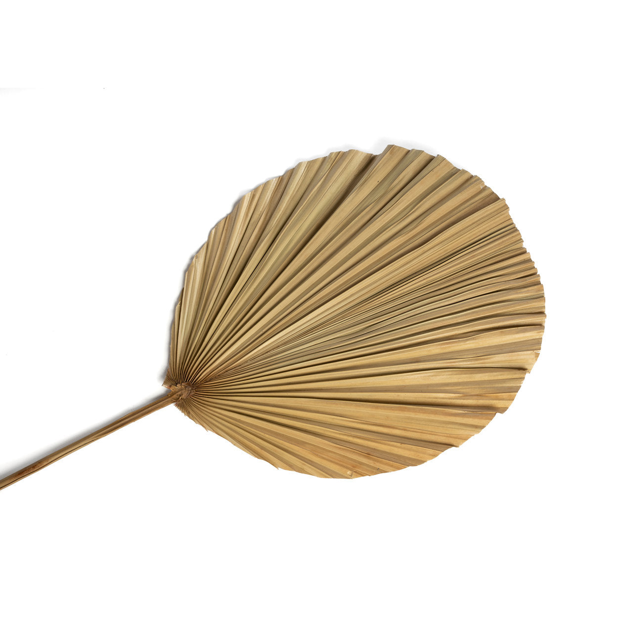 De Rayung Blad - Natuurlijk
