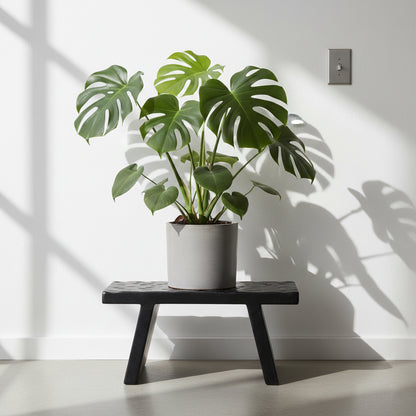 Mangohouten bijzettafel/kruk zwart - 40x25x20 cm
